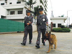 犬防保安服务